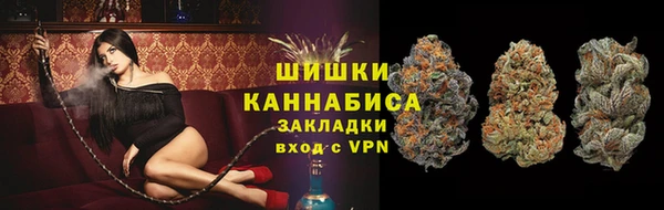 PSILOCYBIN Аркадак